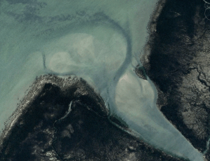 Screen Shot 2017-12-11 at 3.06.28 pm